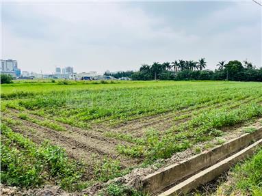 善化近國三4.2分都計內農地