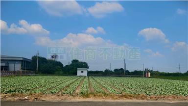 善化近市區15米路美農地