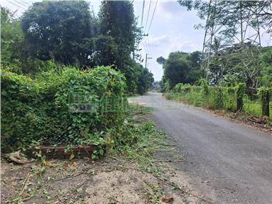 新化坐擁資材室夢想農地房屋室內格局與周邊環境