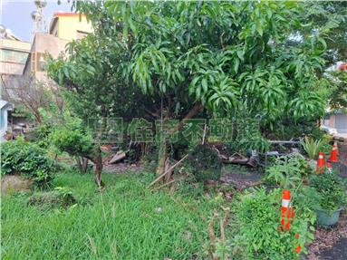 童年渡假村對面建地房屋室內格局與周邊環境