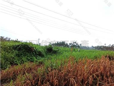 潮州休閒農地房屋室內格局與周邊環境