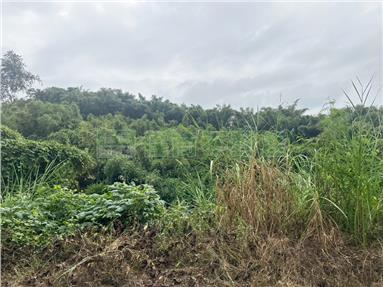 龍崎2.6分農地6房屋室內格局與周邊環境
