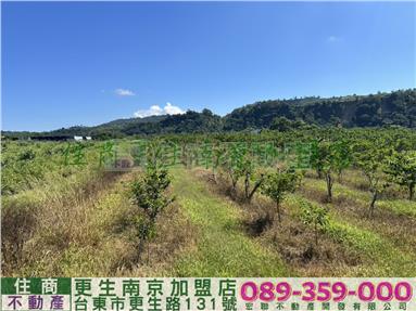 農313 鹿野田園農地