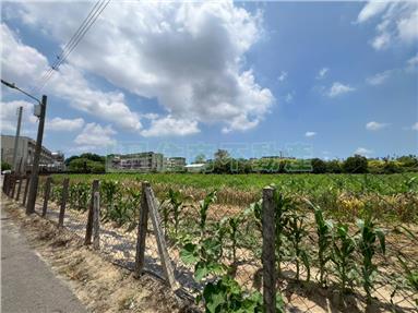 新市近省道可投資一般農B房屋室內格局與周邊環境
