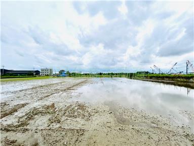 【專】許中營南科旁農地Ⅱ房屋室內格局與周邊環境