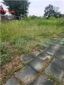 燕巢海城段都內農地近橋科房屋室內格局與周邊環境