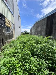 太保高鐵旁20米路旗艦金店王房屋室內格局與周邊環境
