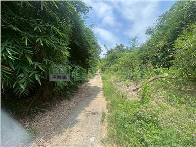 高雄小港區投資型美建地房屋室內格局與周邊環境