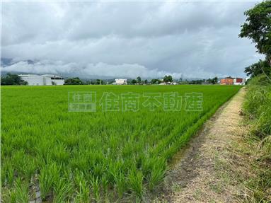 H076池上稻香園肥美農地房屋室內格局與周邊環境
