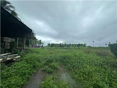 鹽埔鄉彭厝國小方正農地房屋室內格局與周邊環境