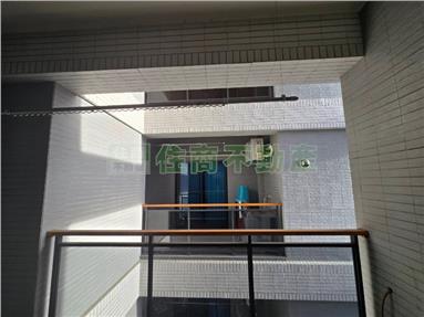 崁頂全新大坪數華廈房屋室內格局與周邊環境