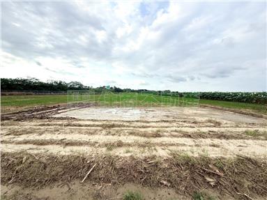 近民雄江厝店方正農地房屋室內格局與周邊環境