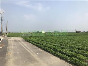 嘉義溪口鄉美農地房屋室內格局與周邊環境