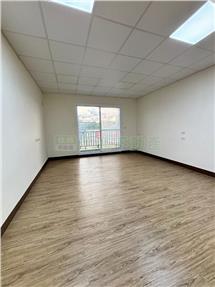 專~鳳林四路麥當勞翻新店面房屋室內格局與周邊環境