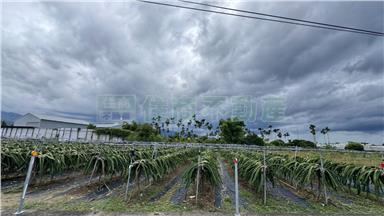 嘉義中埔優質都計美農地房屋室內格局與周邊環境