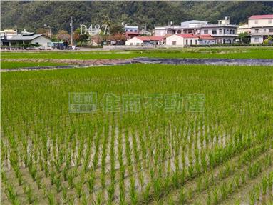 美濃都計內小農地房屋室內格局與周邊環境