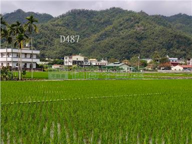 美濃都計內小農地房屋室內格局與周邊環境