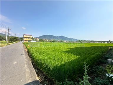 杉林上平段臨路方正農牧地房屋室內格局與周邊環境