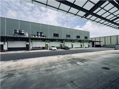 麻學路全新甲工廠房2