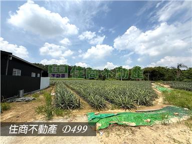 新化礁坑子段5.6分都內農房屋室內格局與周邊環境