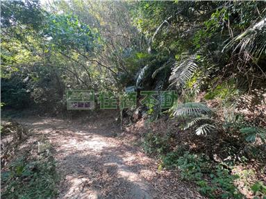 左鎮超便宜農保用地(1)房屋室內格局與周邊環境