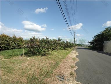 大內三崁天后宮優質農地10房屋室內格局與周邊環境