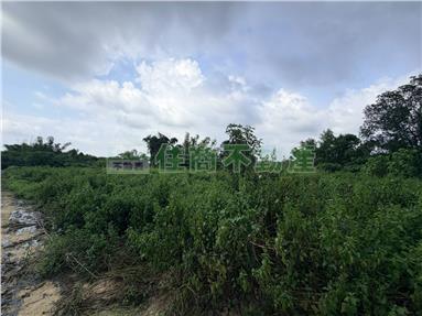 關廟千坪方正農地房屋室內格局與周邊環境