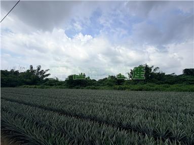 關廟千坪方正農地房屋室內格局與周邊環境