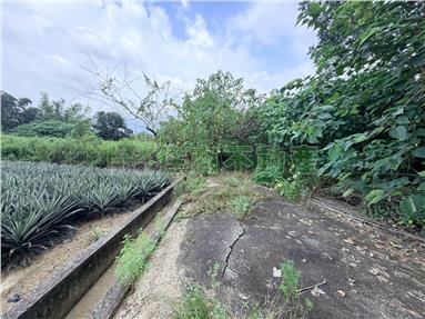 關廟千坪方正農地房屋室內格局與周邊環境
