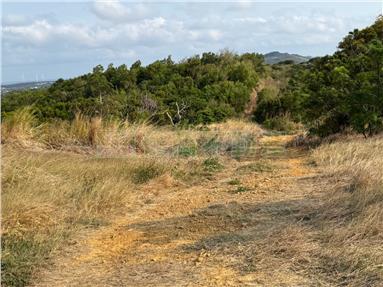 山海段海景山坡地房屋室內格局與周邊環境