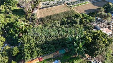 嘉義中埔寶藏美農地房屋室內格局與周邊環境