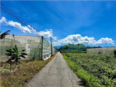 嘉義中埔寶藏美農地房屋室內格局與周邊環境