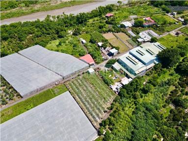 嘉義中埔寶藏美農地房屋室內格局與周邊環境