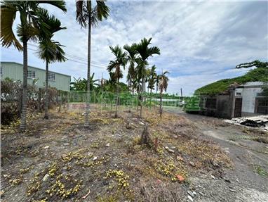 新埤大橋旁農建地