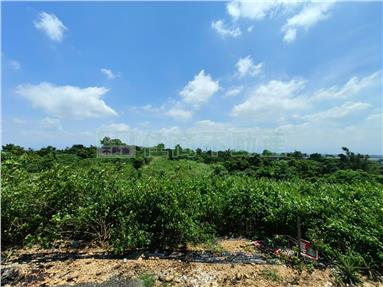 大樹龍目段山坡地房屋室內格局與周邊環境