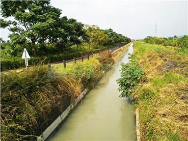 善化大面寬農地