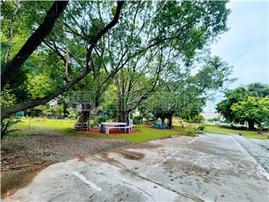 後站樂齡公園美透天房屋室內格局與周邊環境