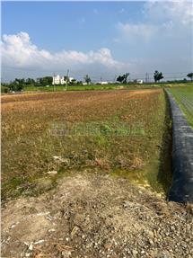 新營天鵝湖旁方正美農地