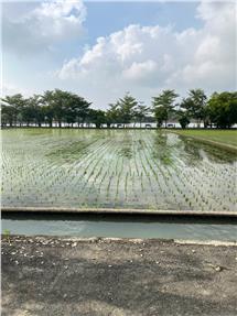 新營天鵝湖旁方正美農地房屋室內格局與周邊環境