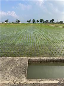 新營天鵝湖旁方正美農地房屋室內格局與周邊環境