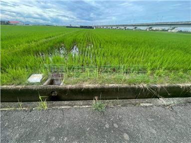 高鐵新港東方正農地(二)房屋室內格局與周邊環境