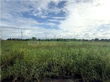 那拔國小後方2分半方正農地2房屋室內格局與周邊環境