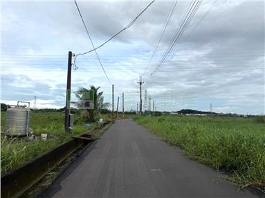 那拔國小後方2分半方正農地1房屋室內格局與周邊環境
