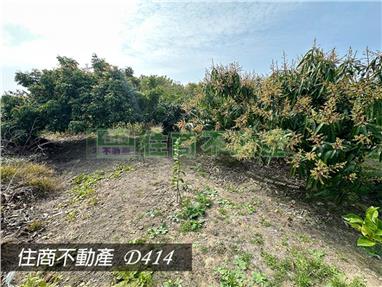麻豆東角里都內農地(專)