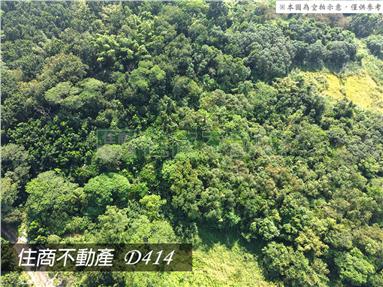 關廟景觀樹林農地3.8分房屋室內格局與周邊環境