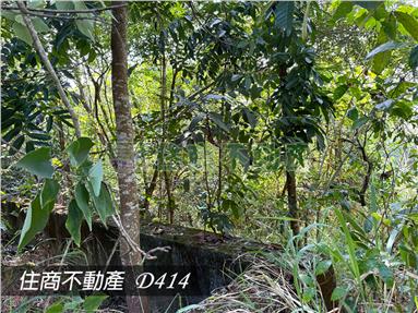 關廟景觀樹林農地3.8分房屋室內格局與周邊環境
