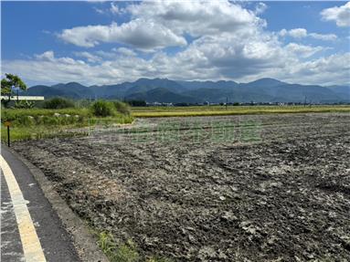 XS146764