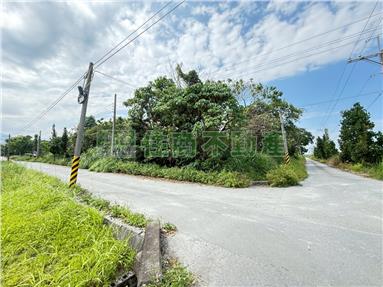 XS146189