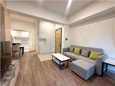 ZS204900