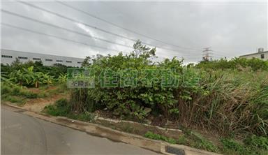 CS168397